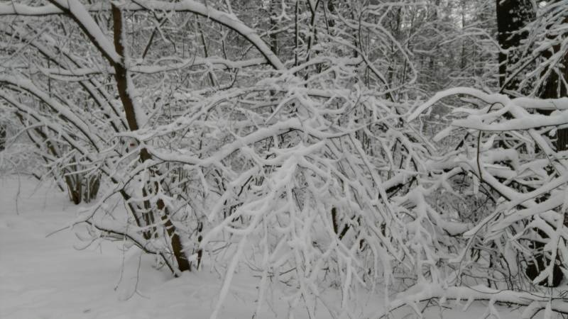 IMG_20171207_131514