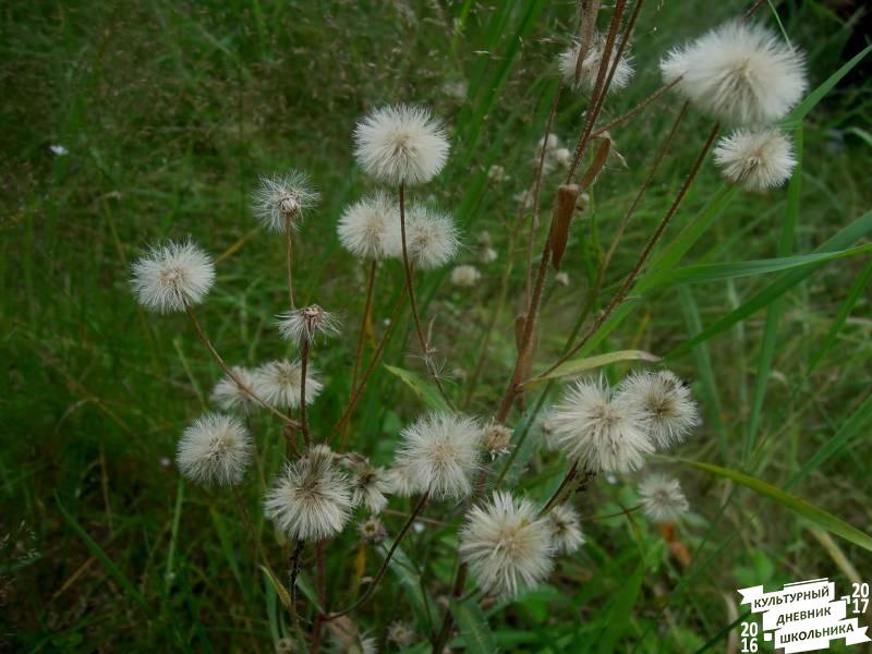 DSCN0623.JPG