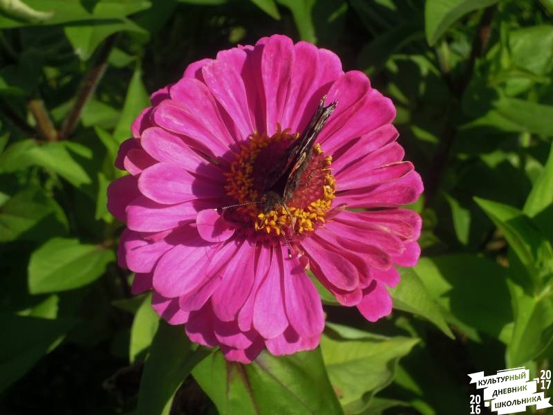 DSCN1510.JPG