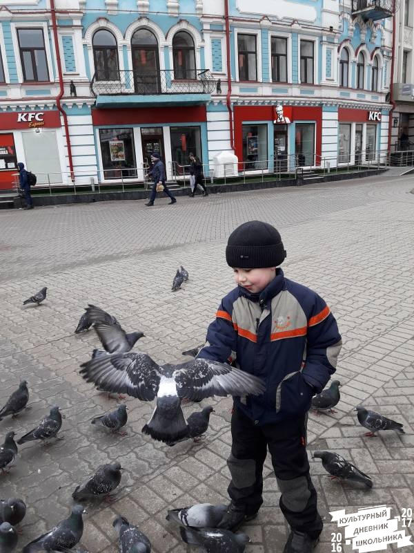 Встреча с голубями и как мы из кормили.61702