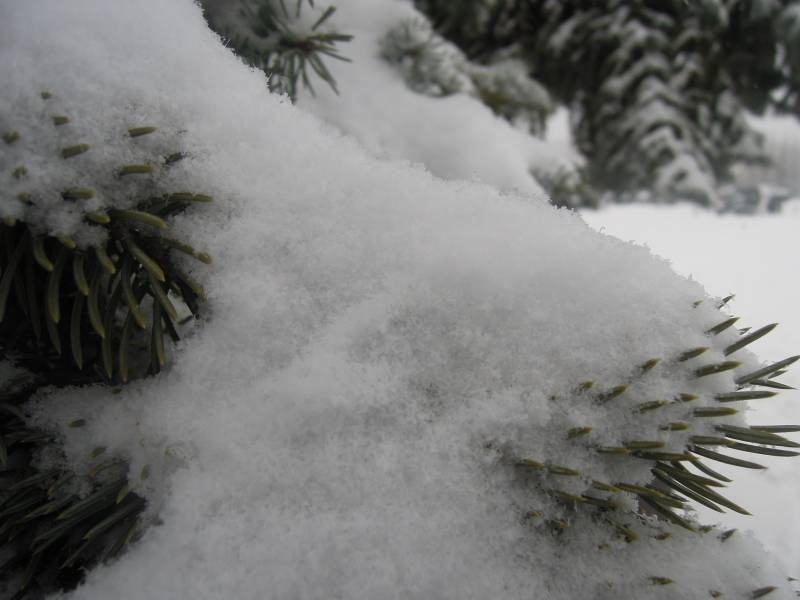 DSCN5318.JPG