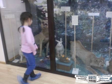 IMG_20160324_145957