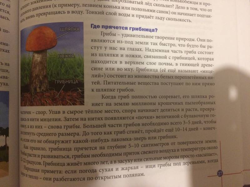 моя книжная полка104138