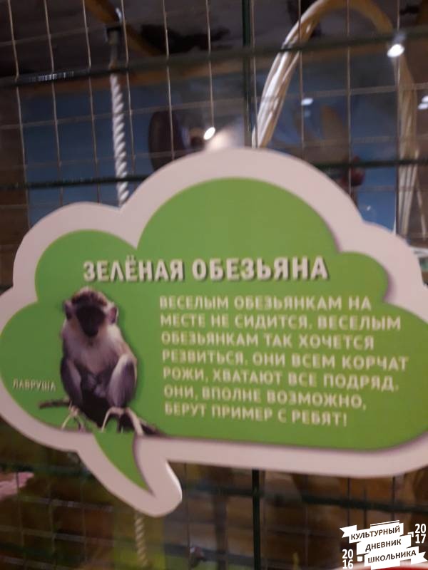 Контактный зоопарк. Казань.75601