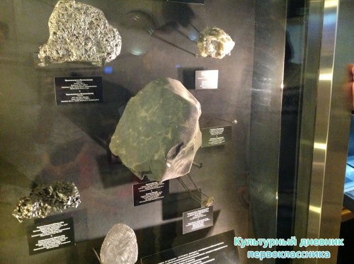 Музей естественной истории16817