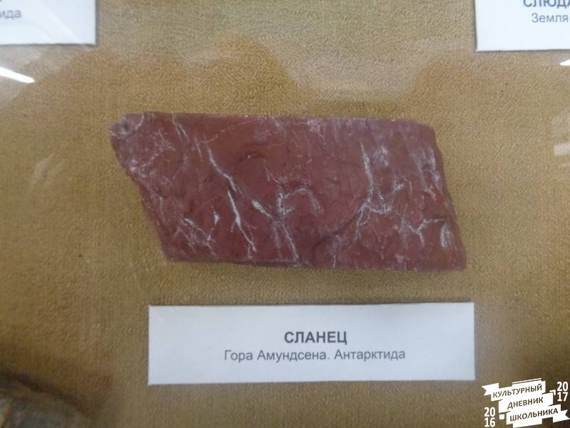 Музей Арктики и Антарктики г. Санкт-Петербург 57.JPG