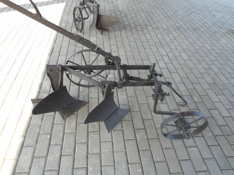 DSCN3504.JPG