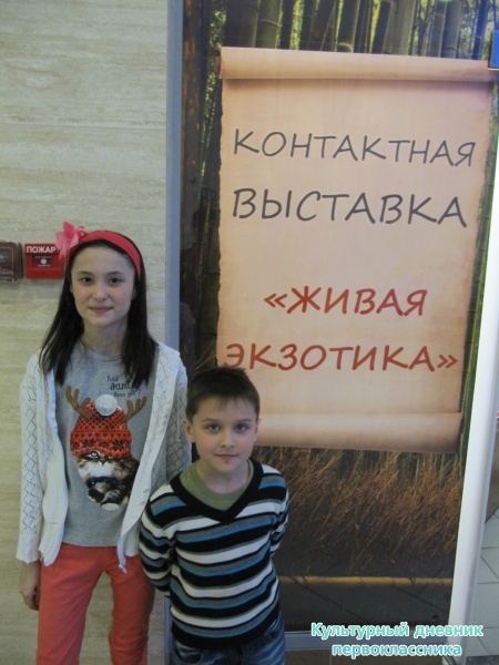 Необычный зоопарк23382