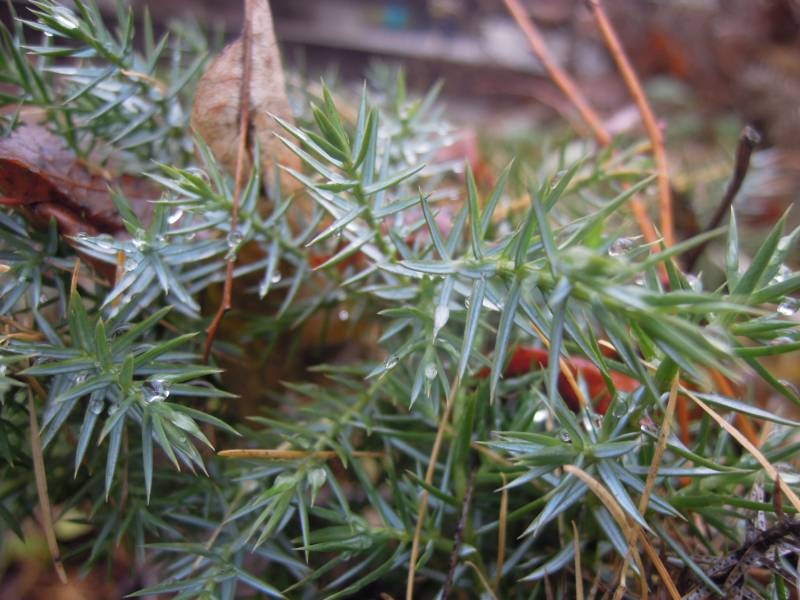 DSCN5037.JPG
