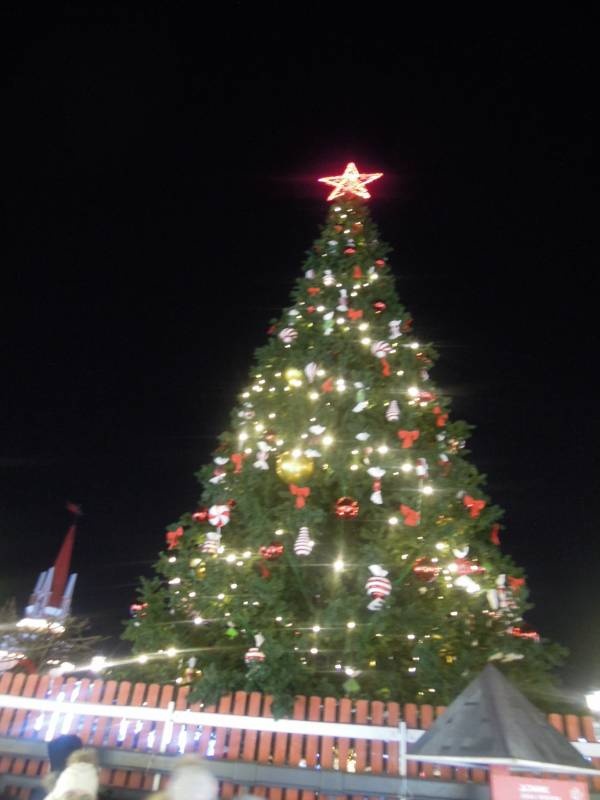 DSCN6789.JPG