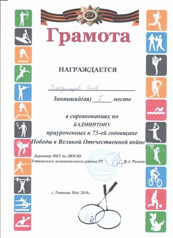Портфолио достижений146980