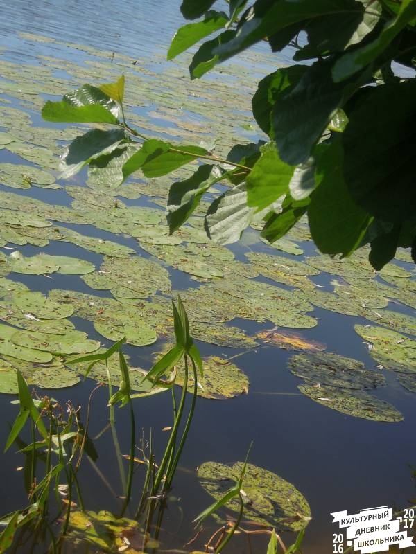 DSCN1558.JPG