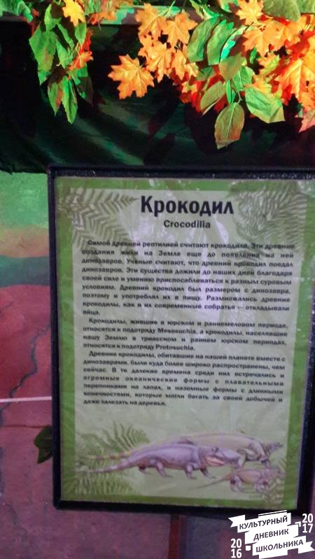 Мир динозавров. ТРЦ Италмас.63545
