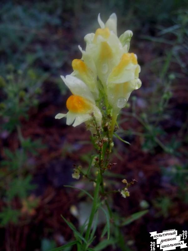 DSCN0368.JPG