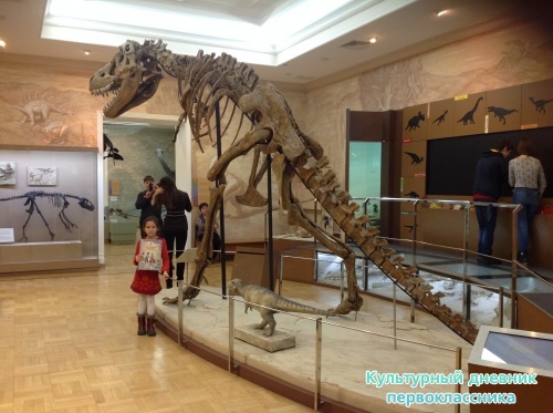 Музей естественной истории16842