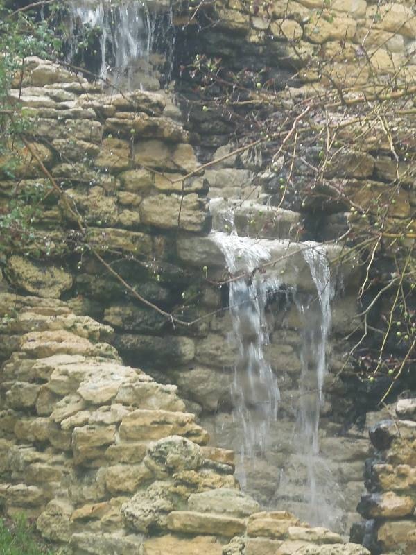 DSCN0190.JPG