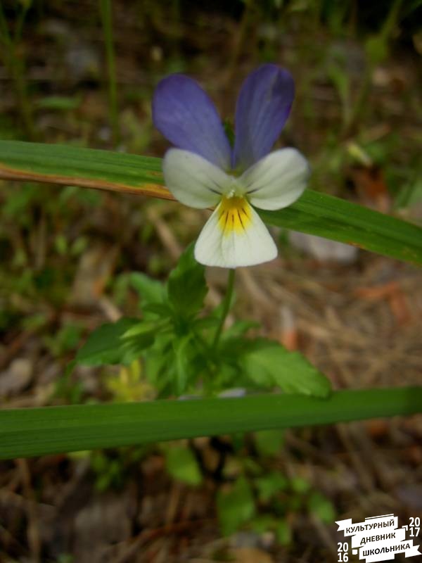 DSCN0631.JPG