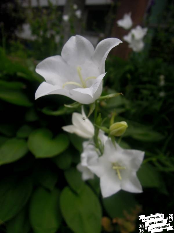 DSCN0640.JPG