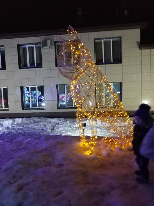 Мои новогодние каникулы133959