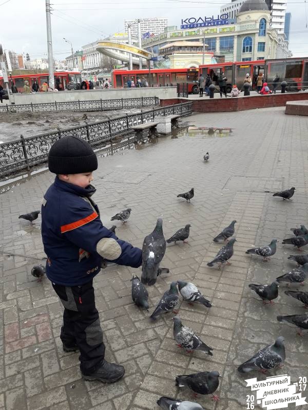 Встреча с голубями и как мы из кормили.61700