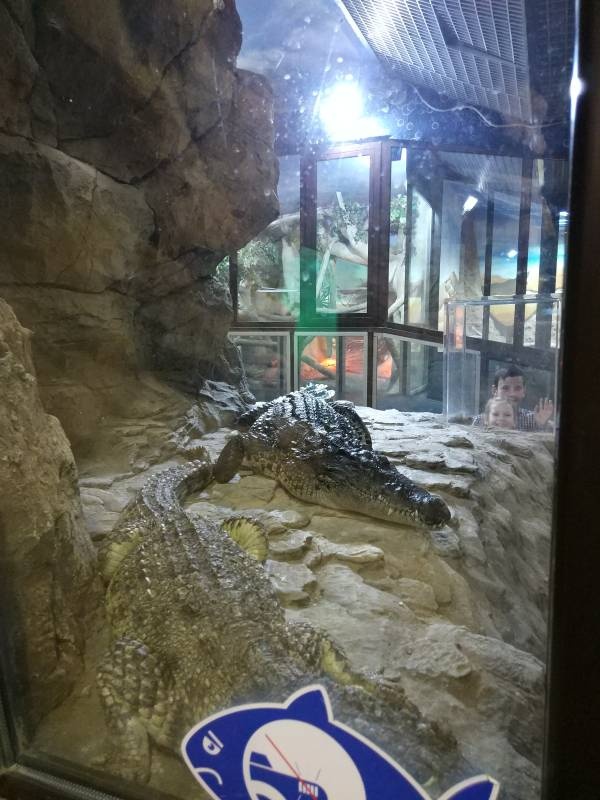 Казанский океанариум95534