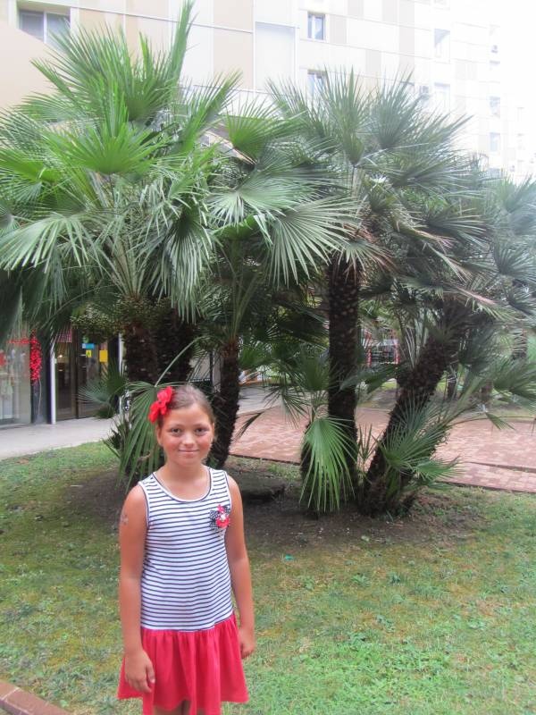 IMG_0900.JPG