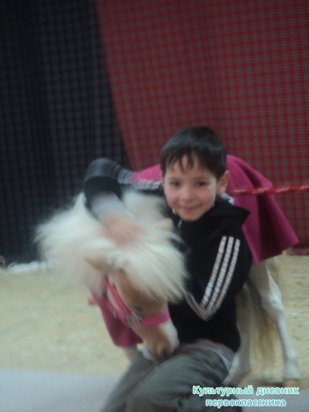 DSC08596.JPG