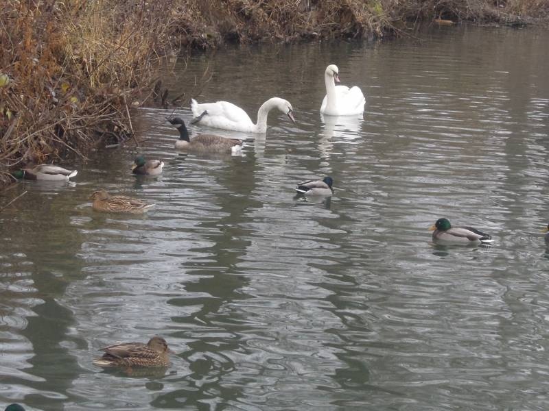 DSCN4925.JPG