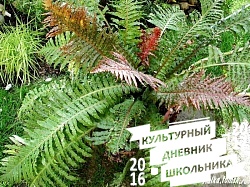 Оранжерейные растения. Зооботанический сад. Казань.78294