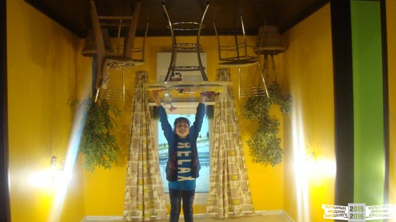 Дом вверх дном39370