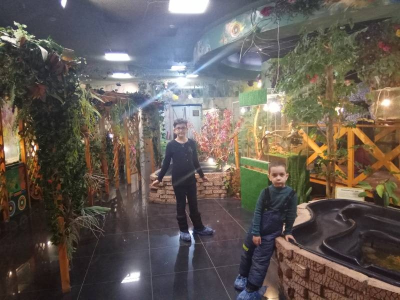 Парк бабочек.86880