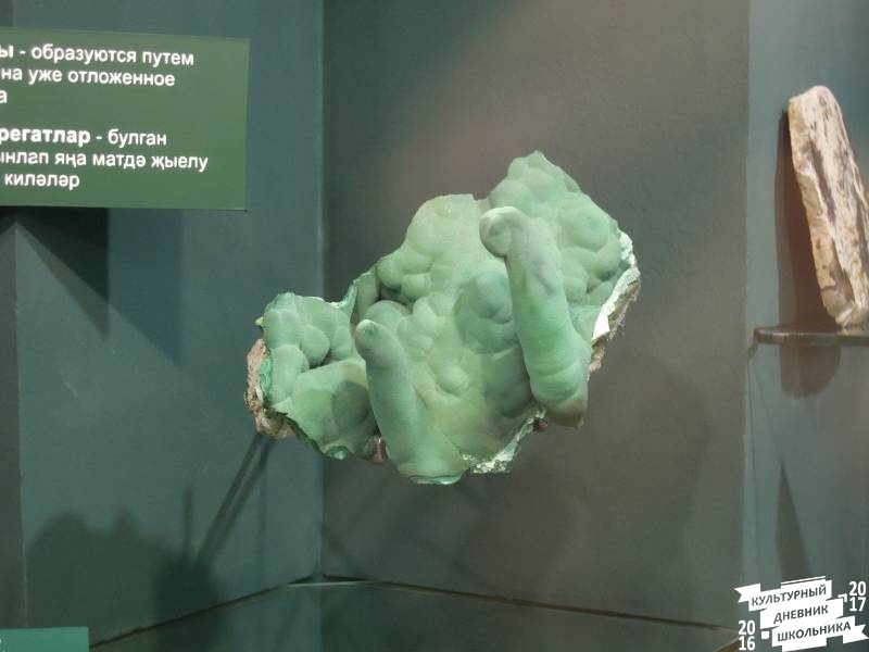 DSCN8534.JPG