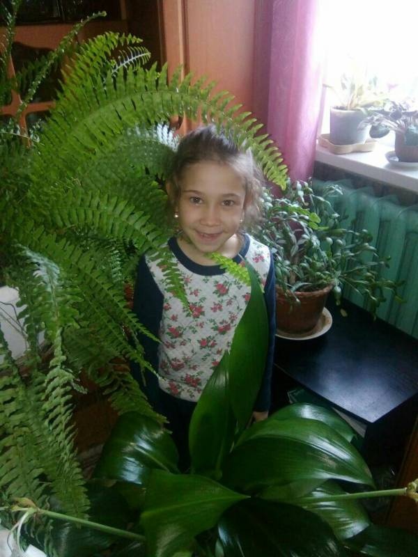это я116353