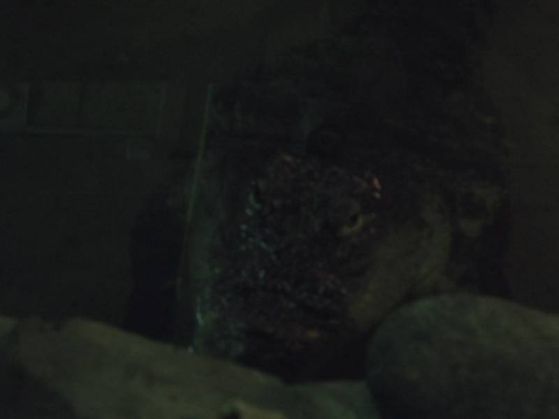 DSCN4860.JPG