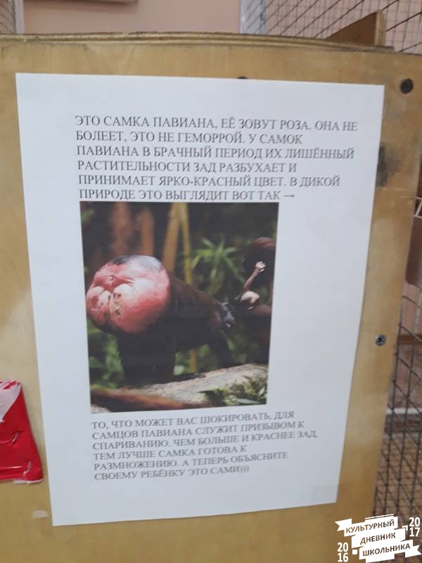 Выставка зоопарк "Живые тропики"60553