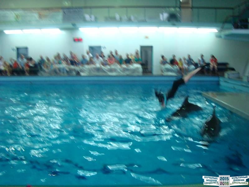 Мои летние путешествия!39633