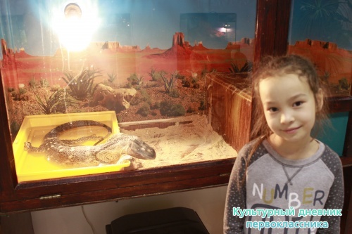 Мадагаскар выставка18126