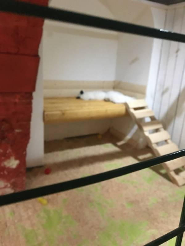 Трогательный зоопарк.93859