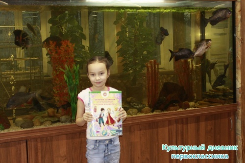 Зимний сад12012