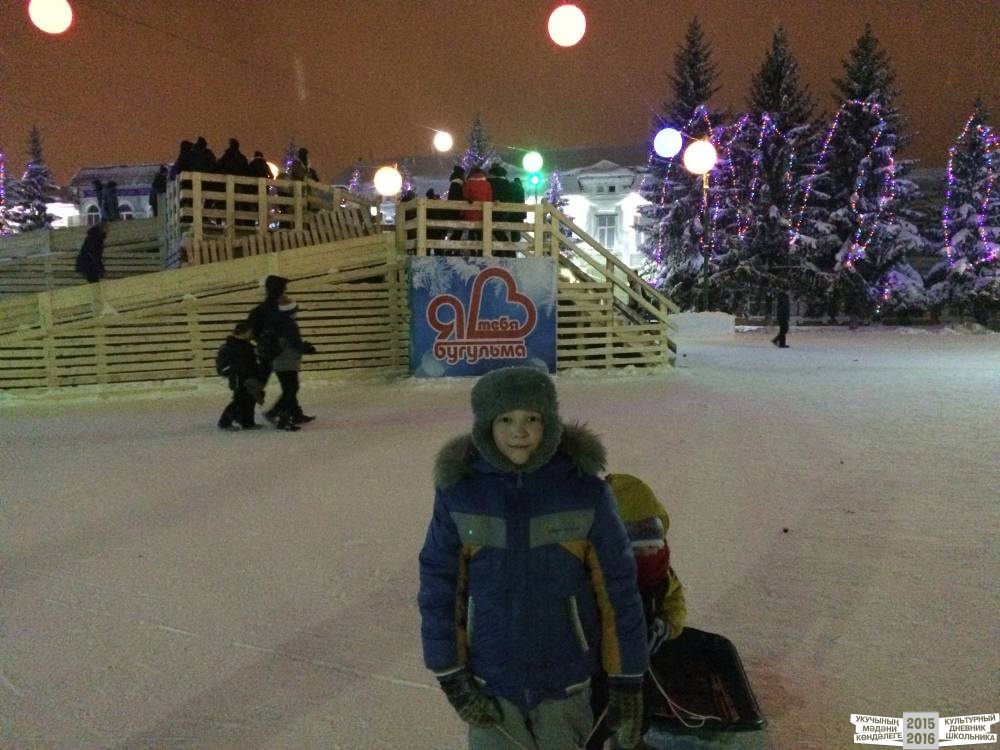 Мой Новый  2017 год