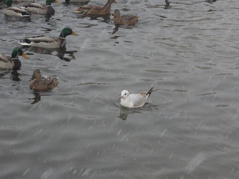 DSCN5277.JPG