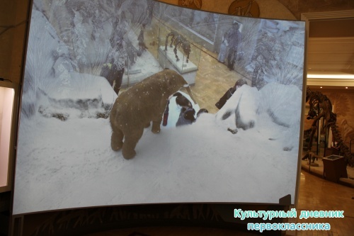 Новый экспонат «Ледниковый период»16495