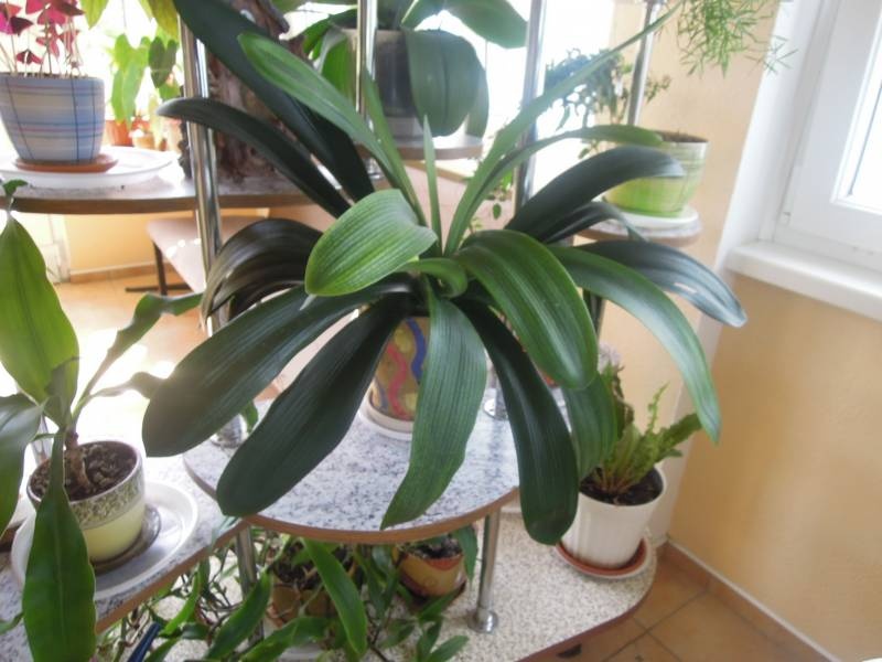 DSCN0568.JPG
