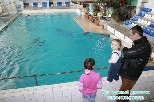 Дельфинарий17876