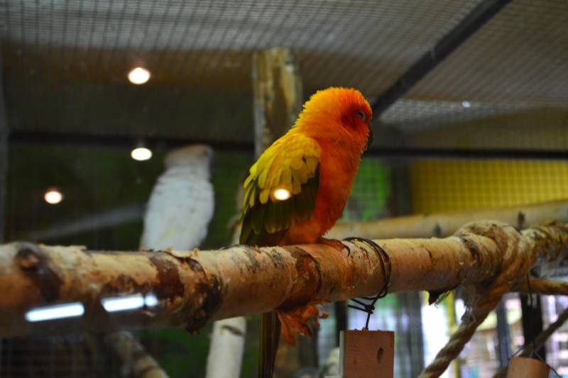 DSC_0579.JPG