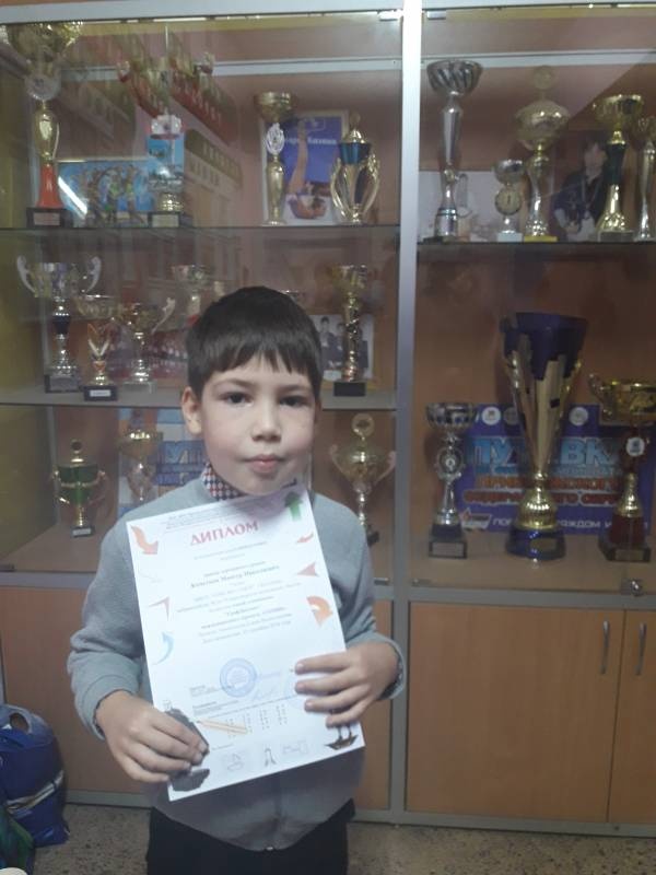 Диплом серебряного уровня. Олимпиада СОМИК154387