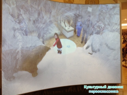 Музей естественной истории16846