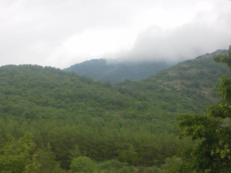 DSCN0171.JPG