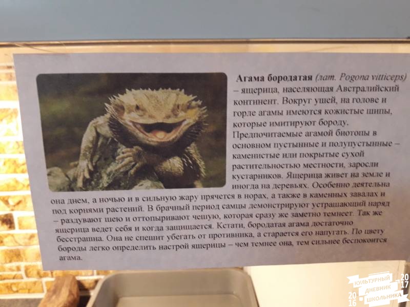 Выставка зоопарк "Живые тропики"60540