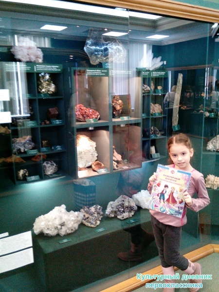 Музей естейственной истории Татарстана